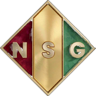 Logo N.S.G – NA-SY GROUPE SARL